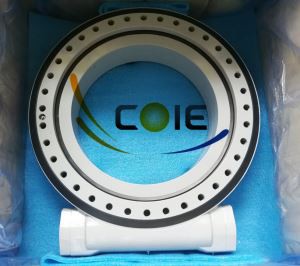 Cuscinetto dell'azionamento di rotazione dell'attacco dell'escavatore