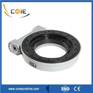 Anello di rotazione dell'ingranaggio a vite SC9